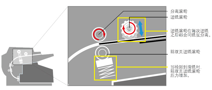 1547544096286121.jpg 3.jpg